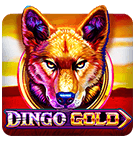 rummy 3f download